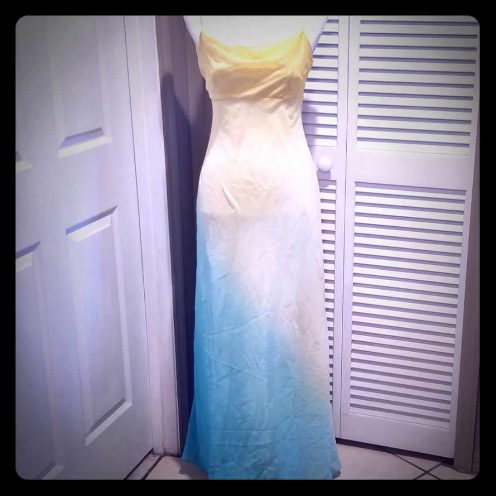 Ladies Gown (Prom) by Megan and Co.
